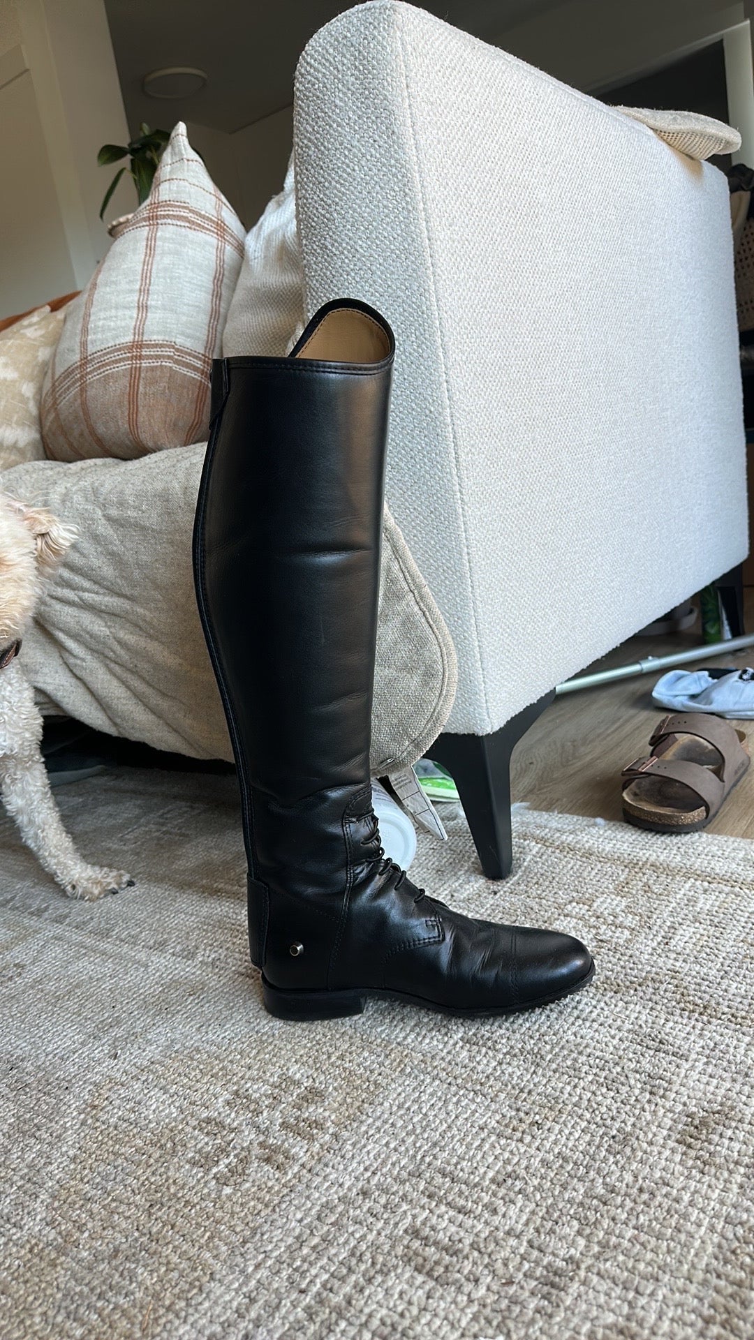 Fabbri Pro Field Boots