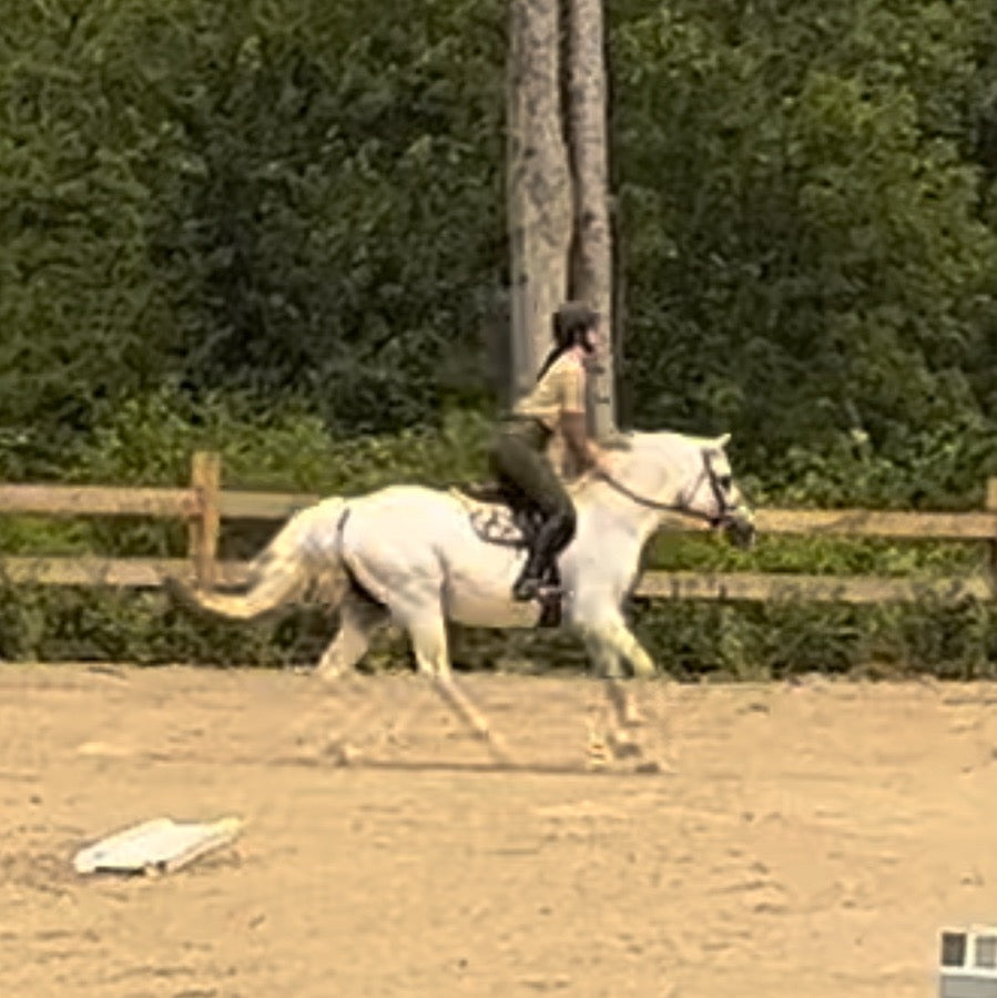 DS Ladies' Dalton Knee-Patch Breech