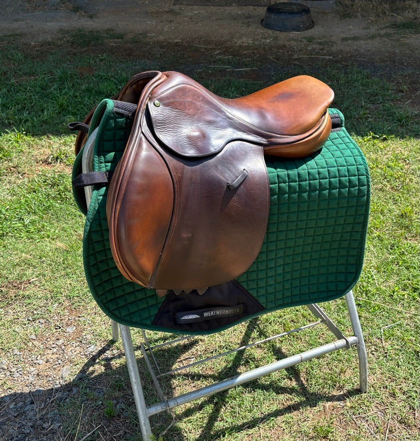 WEATHERBEETA WeatherBeeta Forest Green Show Pad and Ear Bonnet Set (2)