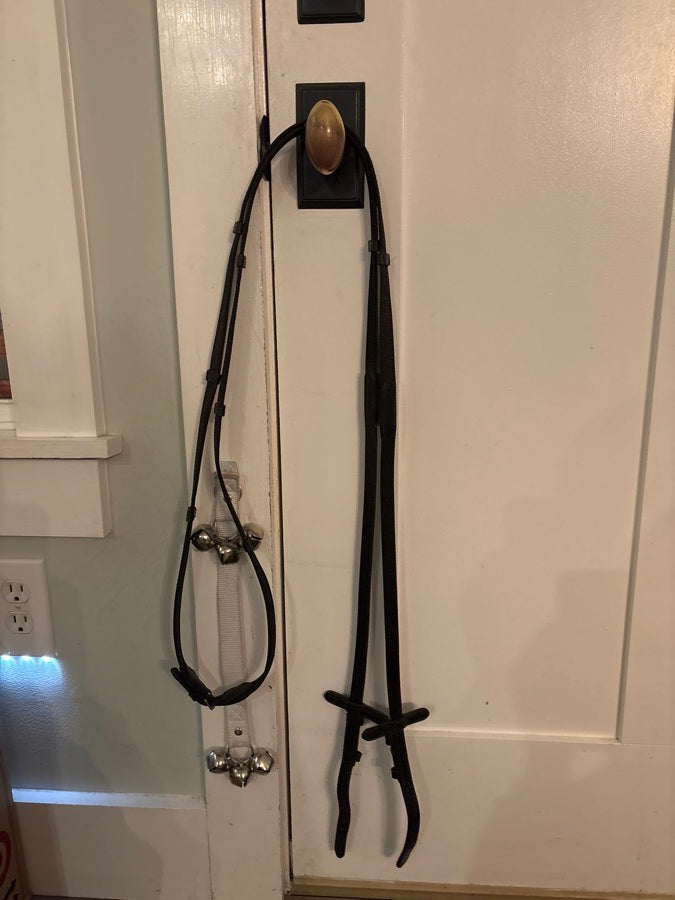 Dressage Bridle