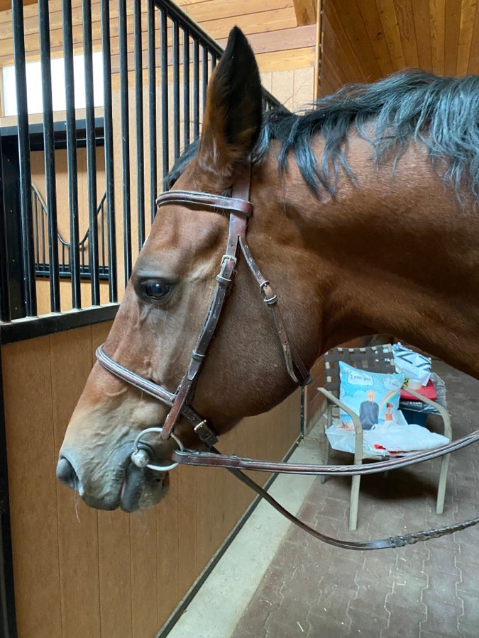 EDGEWOOD Edgewood fancy stitch  bridle (2)