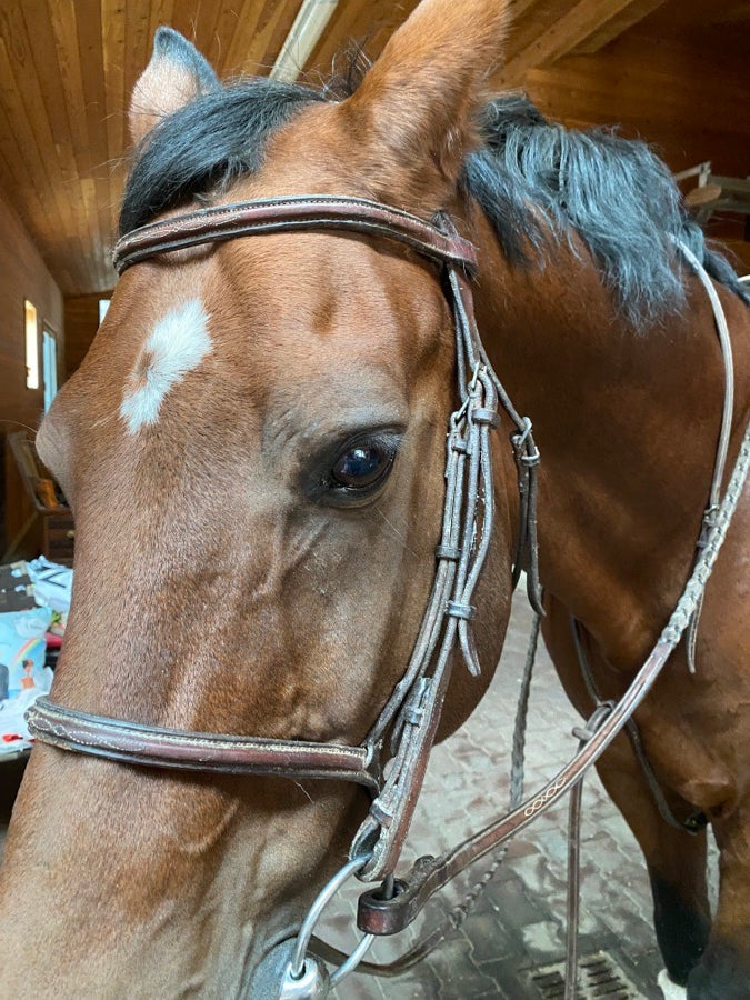 EDGEWOOD Edgewood fancy stitch  bridle