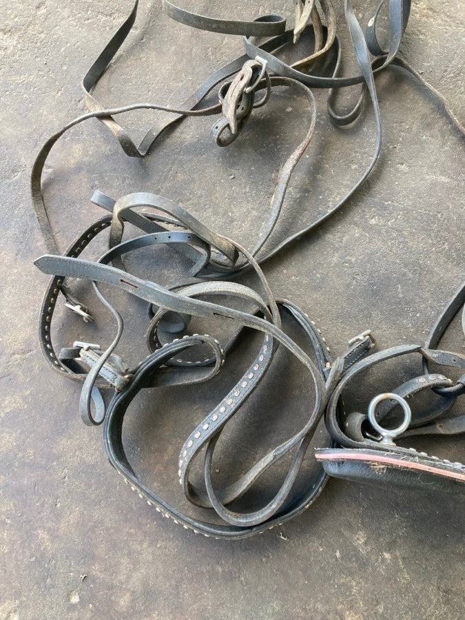 Harness