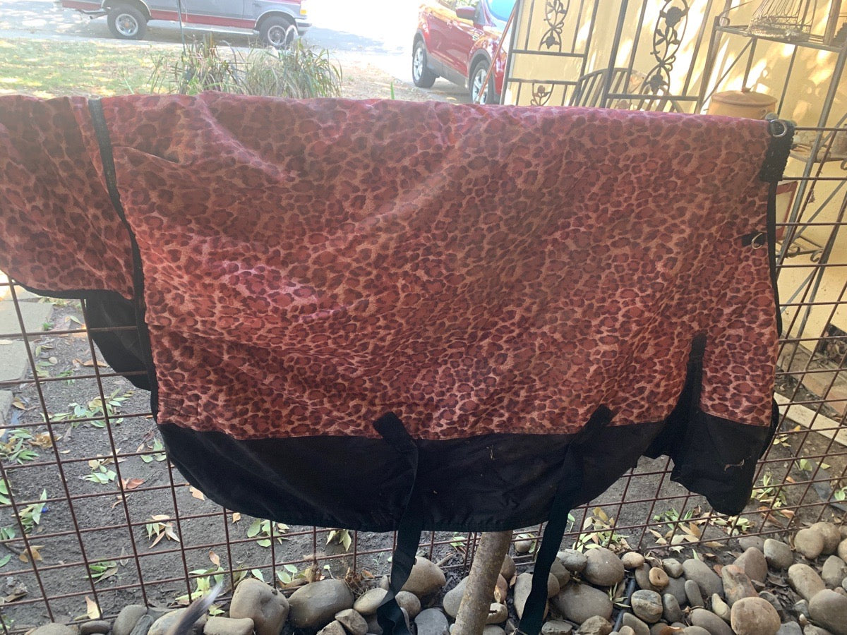 Giraffe blanket
