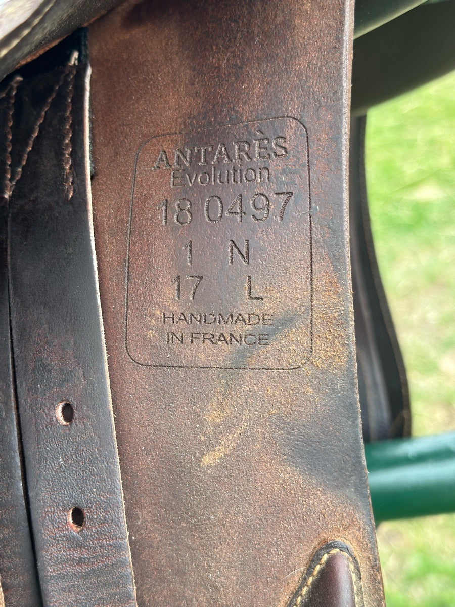 ANTARES 2018 Antares Evolution Saddle 17 (6)
