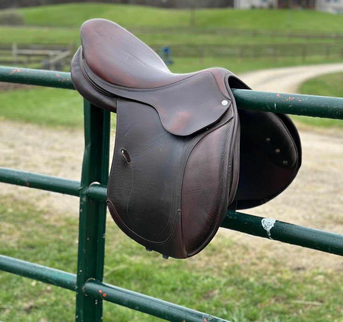 ANTARES 2018 Antares Evolution Saddle 17