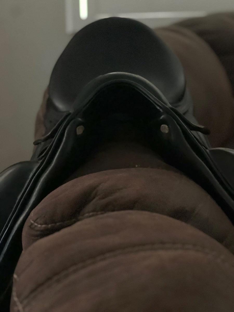 CWD Dressage Saddle