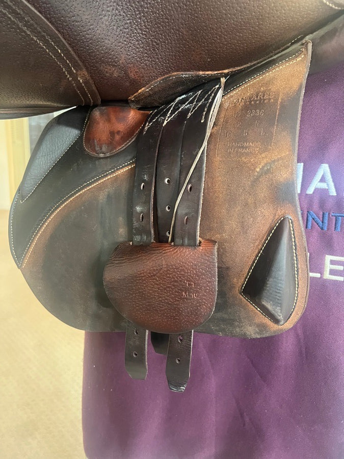 Antarès Saddle