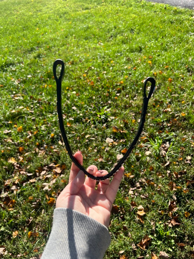 Solo Cob brow band (4)