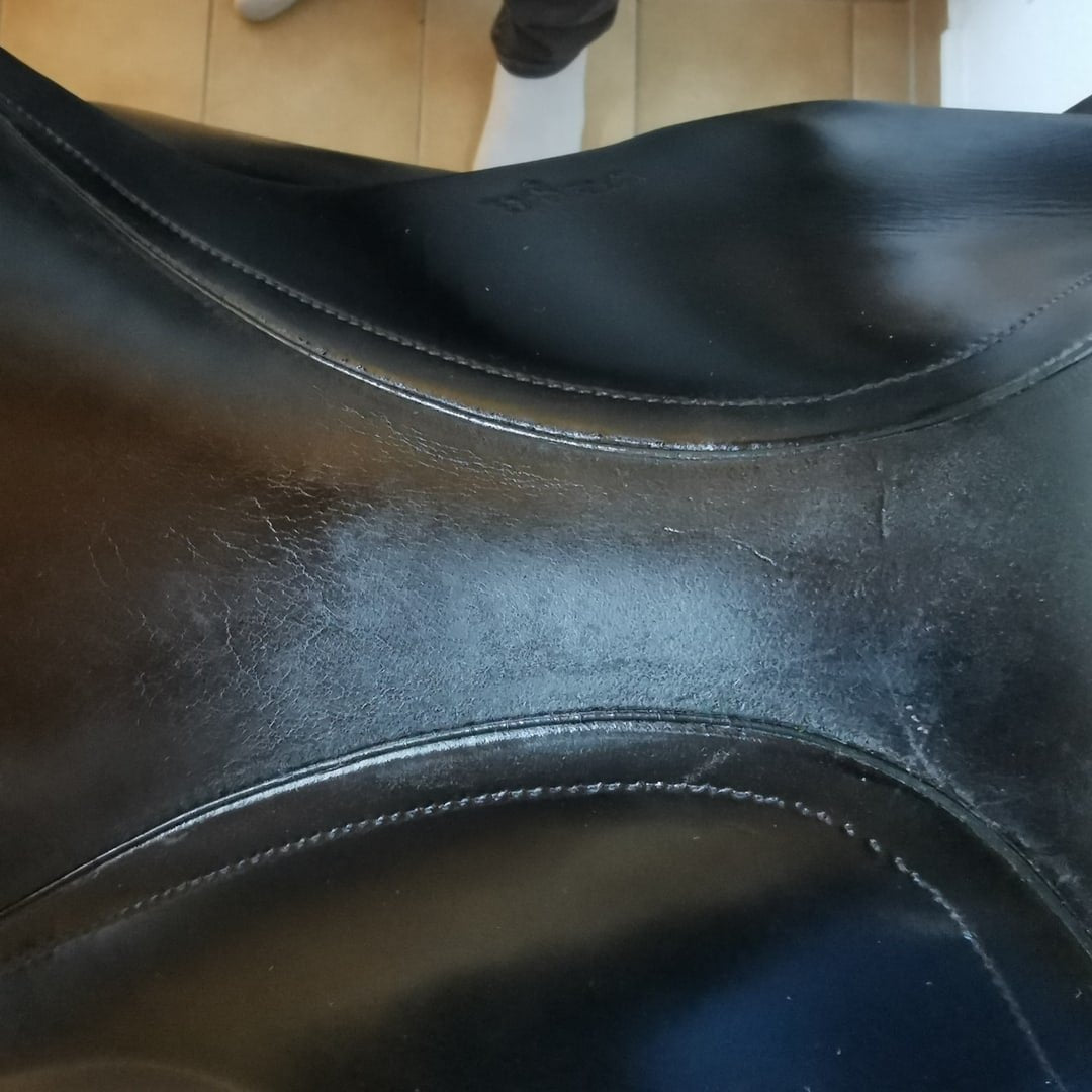 17" Amerigo Vega
