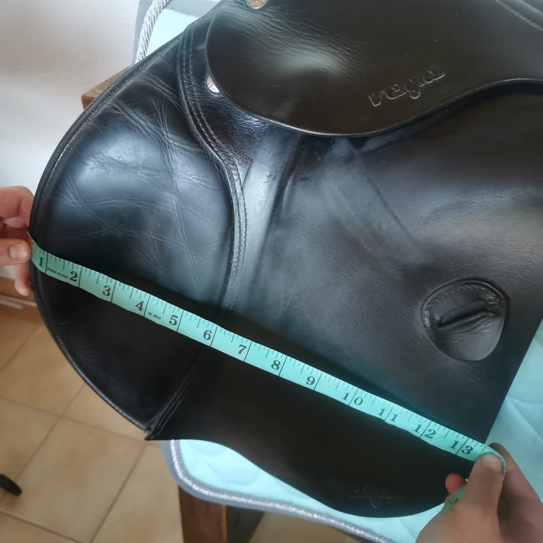 17" Amerigo Vega