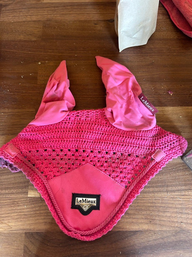 LEMIEUX Marin bluebell and watermelon full set (6)