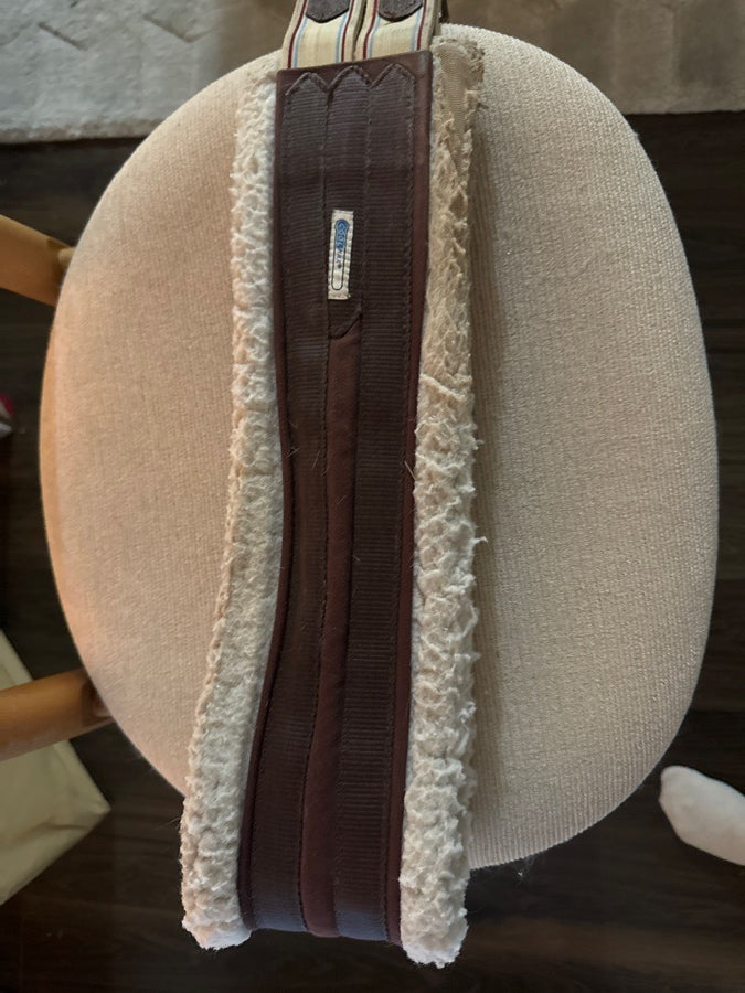 50” Lettia collection schooling girth