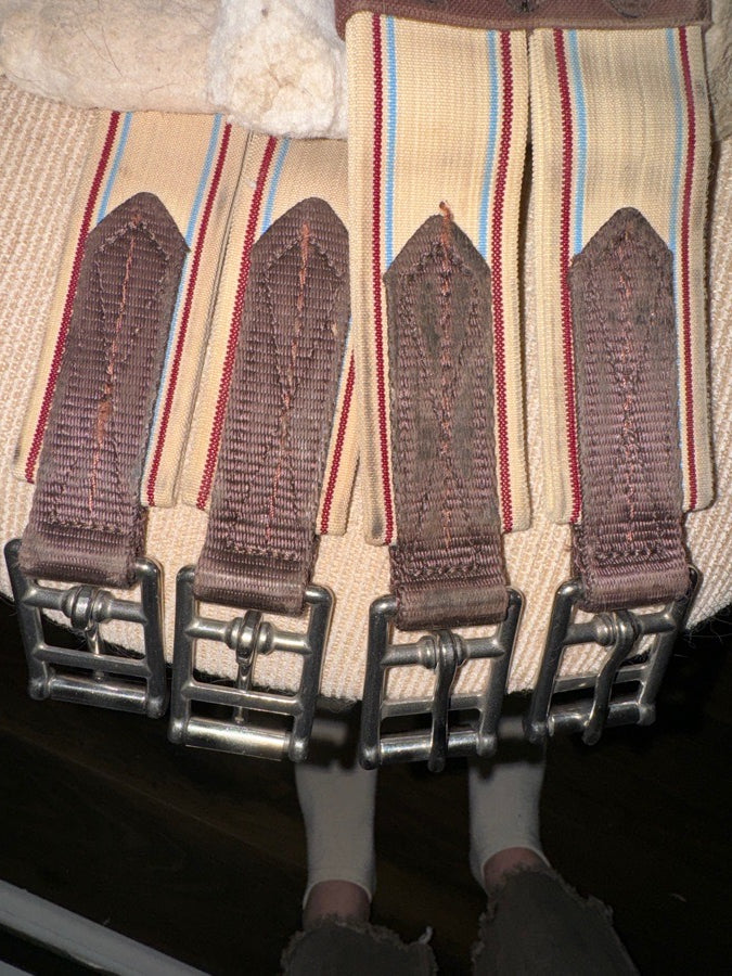 50” Lettia collection schooling girth