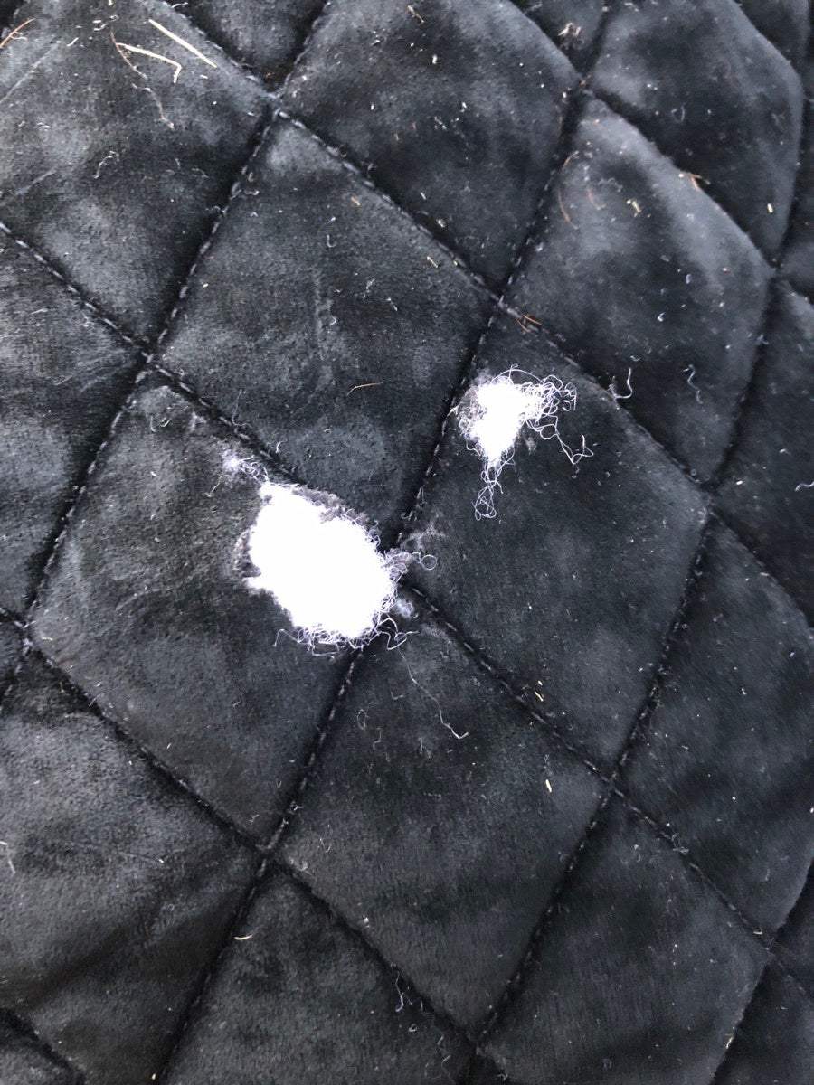 Black Velvet pad