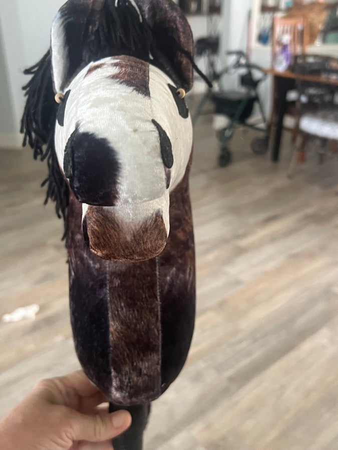 Hobby Horse (Horse on Stick)