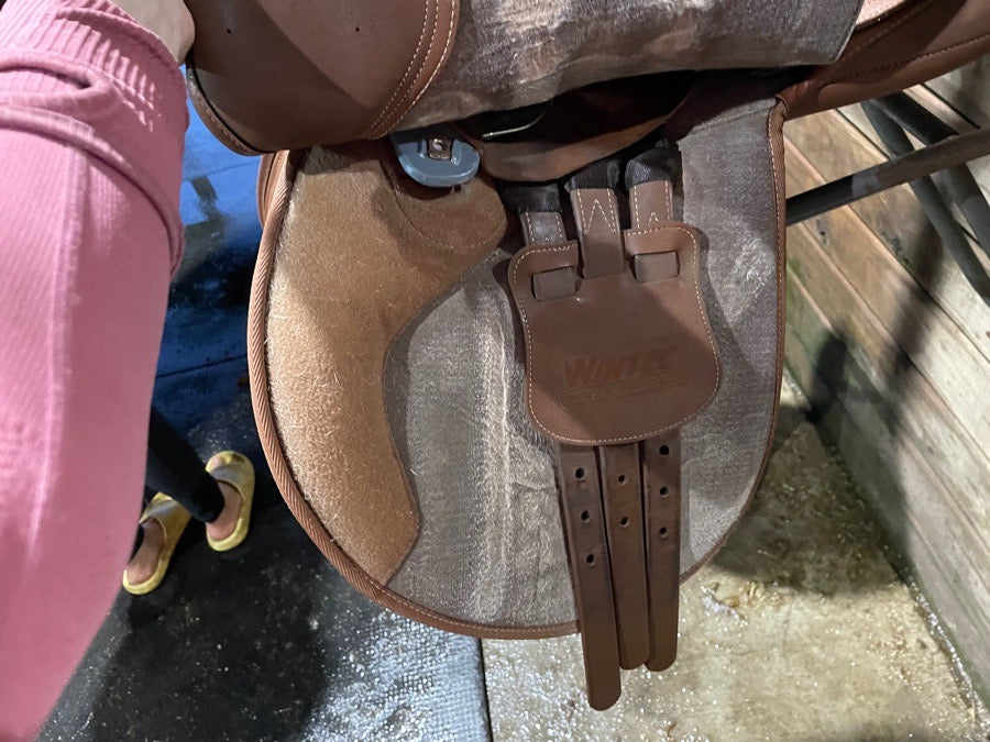 Wintec Saddle!