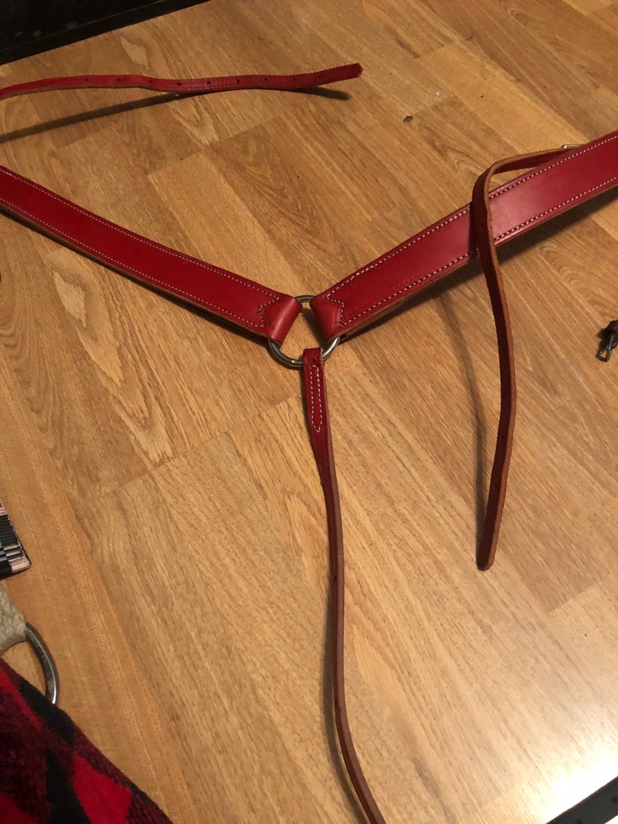 Red leather breastcollar