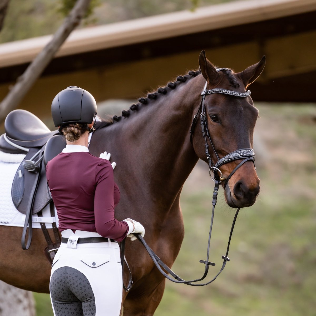 Perfection 2.0 High Waisted Show Breeches - White with Grey Seat