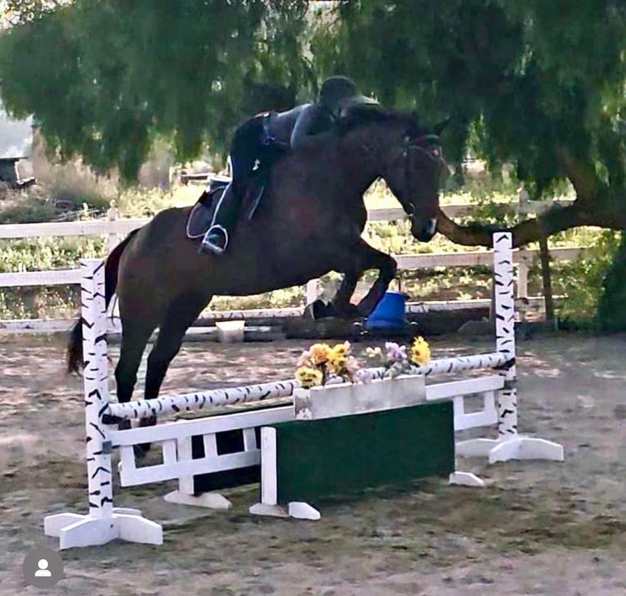 Malibu- Full Lease