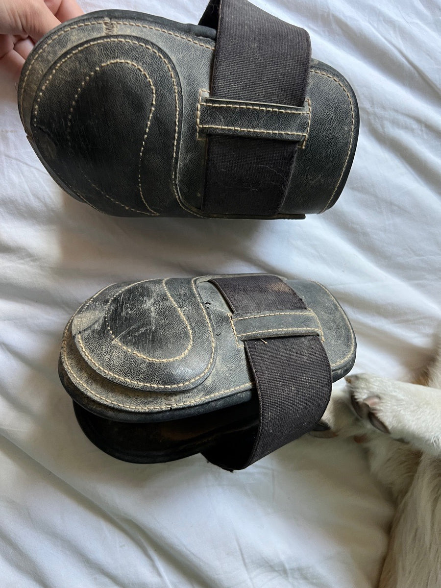 Tekna hind boots