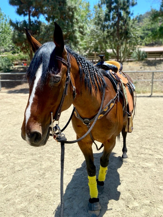 *😅 I DON'T KNOW Sunflower Trail Saddle + Breast Collar (7)