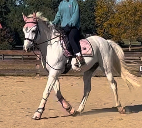 light pink equestrian stockholm set