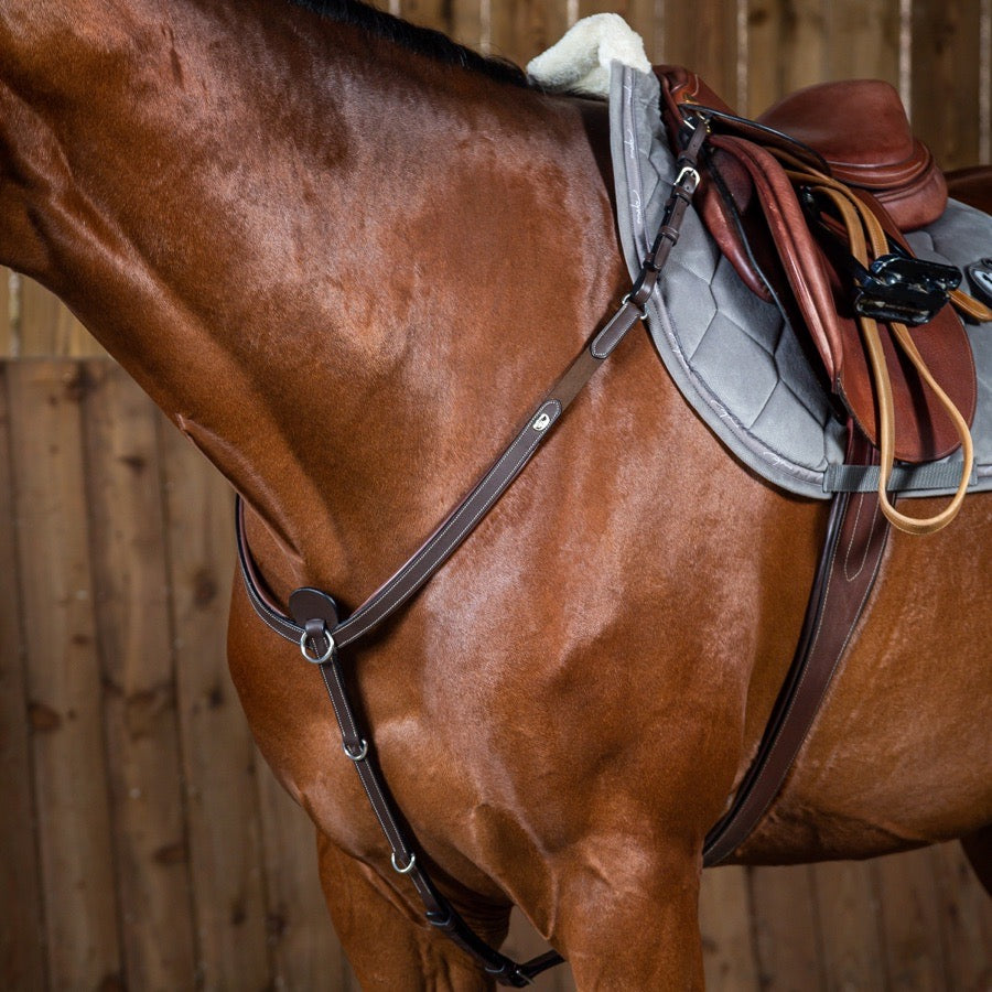 Dyon Breastplate w/ Running Martingale