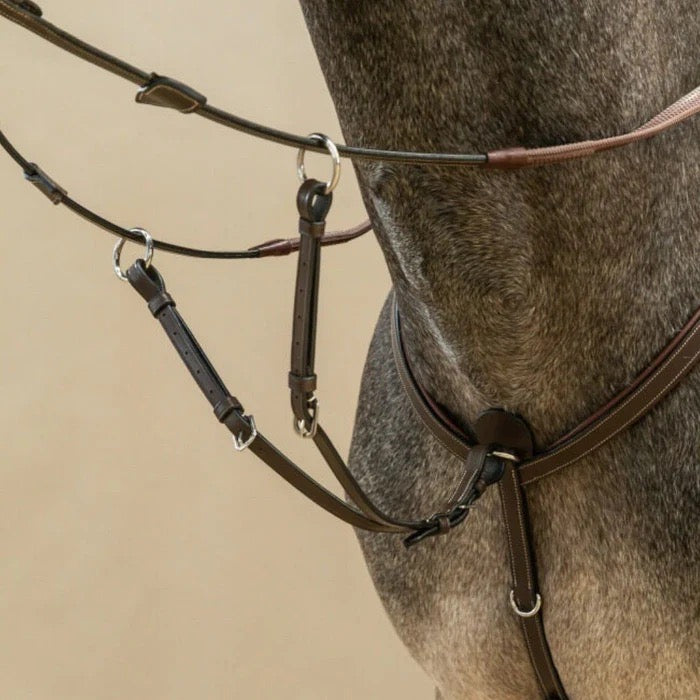 Dyon Breastplate w/ Running Martingale