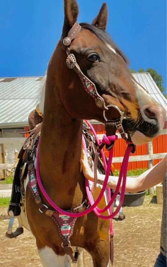 Other Desert rose equine tack set