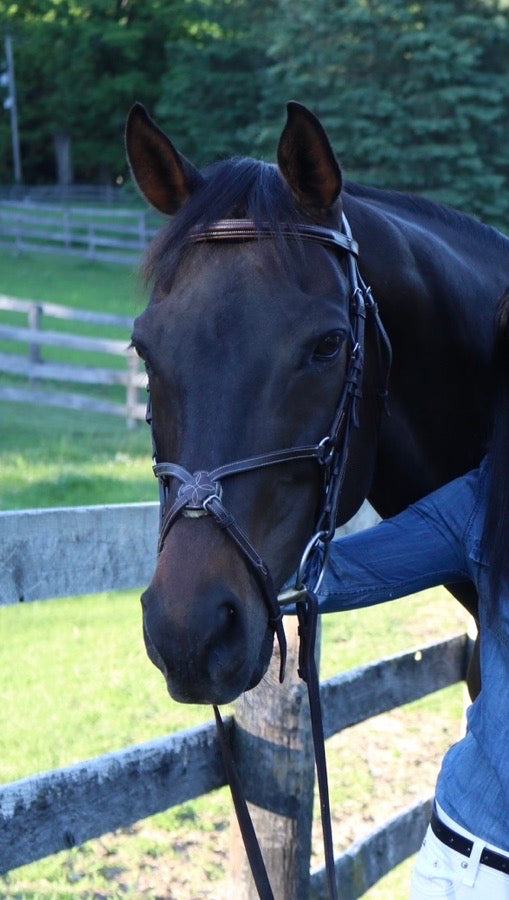 Showmark Bridle - Fancy Stich Figure 8 - WB/OS