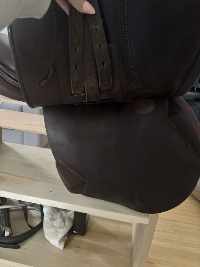 16.5 Antares saddle for sale