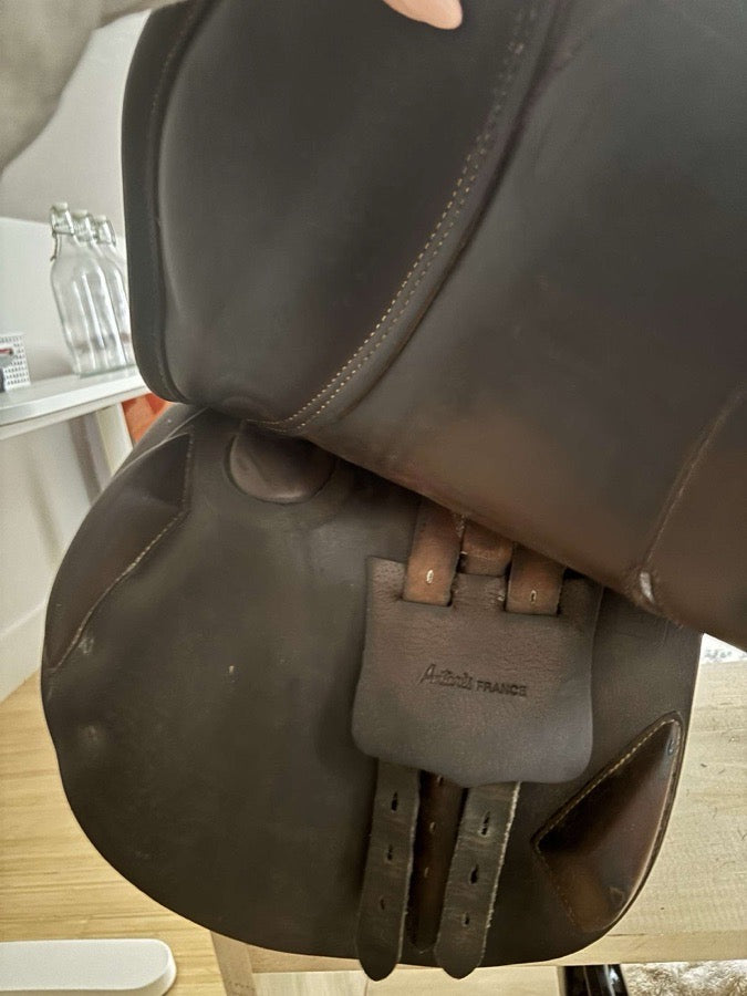 16.5 Antares saddle for sale