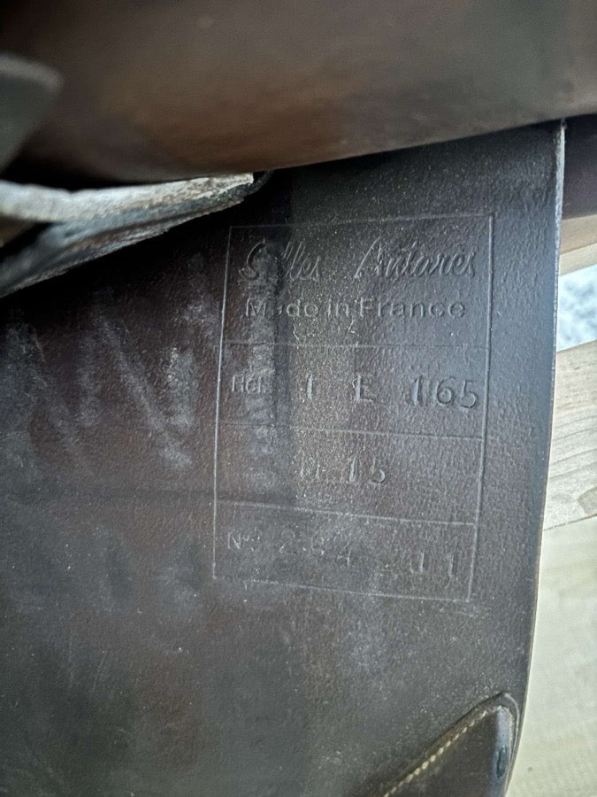 16.5 Antares saddle for sale