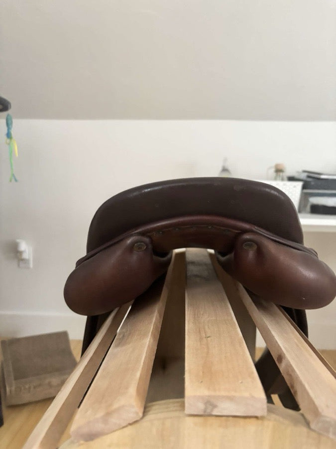 16.5 Antares saddle for sale