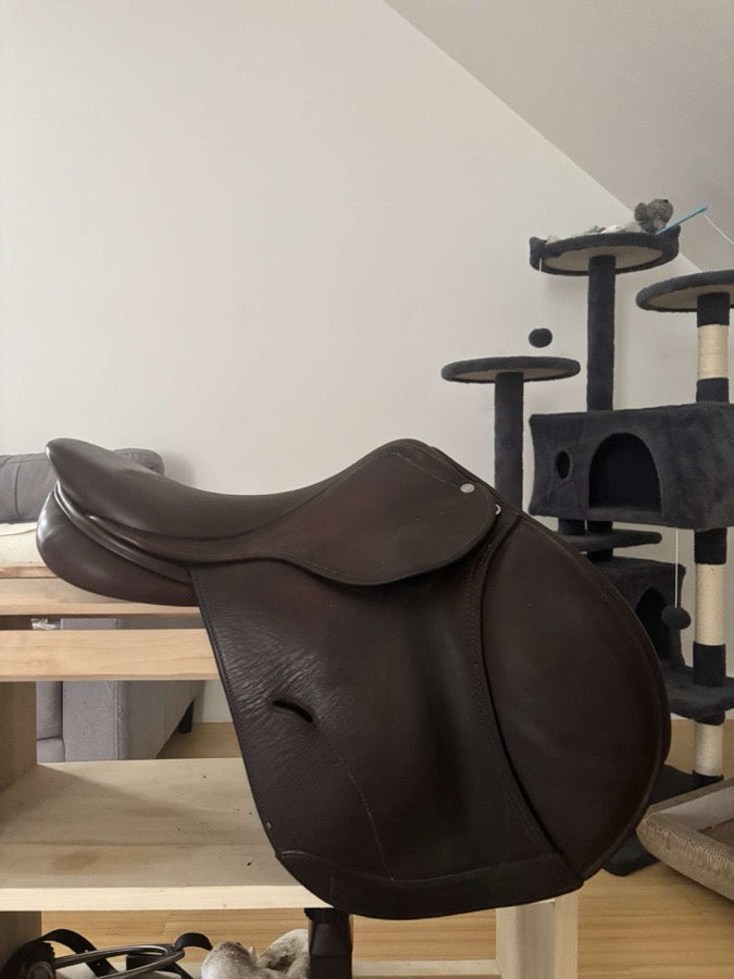 16.5 Antares saddle for sale