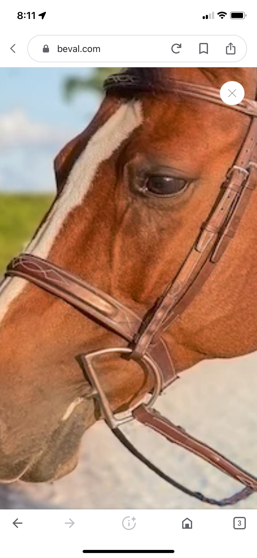 BEVAL Beval Heritage Bridle