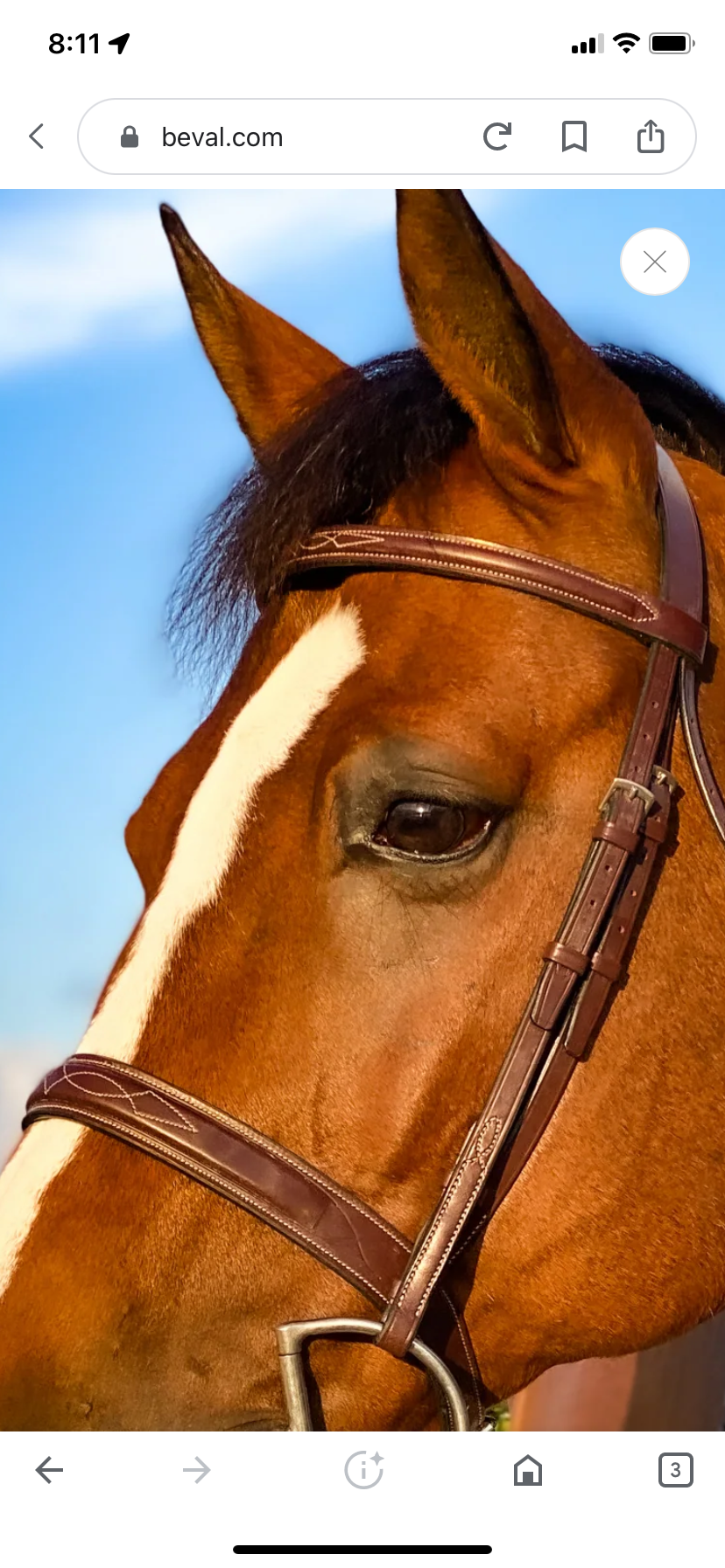 BEVAL Beval Heritage Bridle (3)