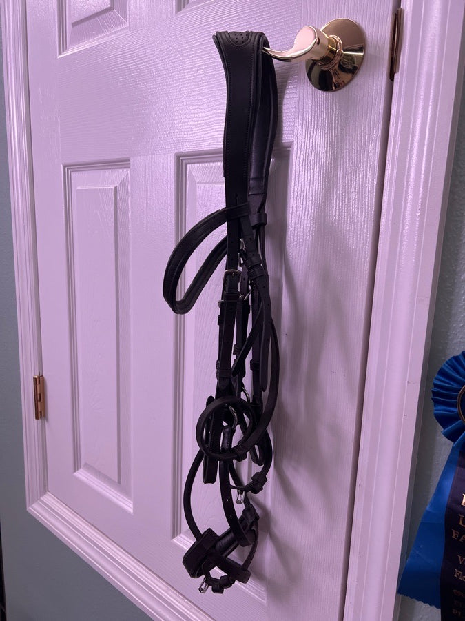Training bridle
