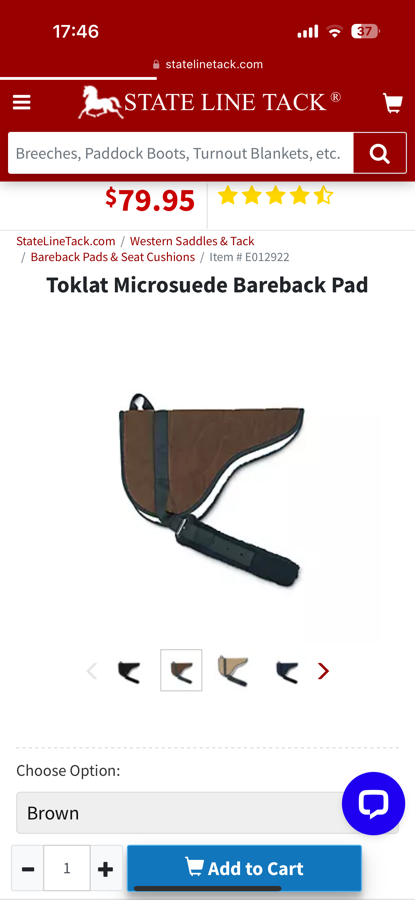 TOKLAT Toklat Bareback Pad (5)