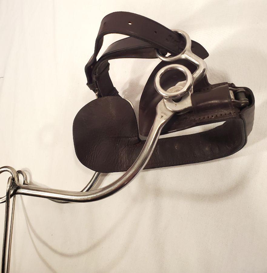 Stephens Continental Hackamore