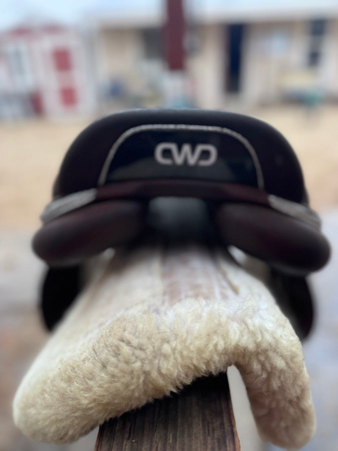 CWD 2GS
