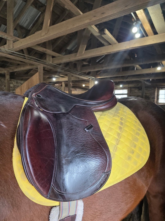 Like new 17.5 inch Santa Cruz saddle adjustable tree