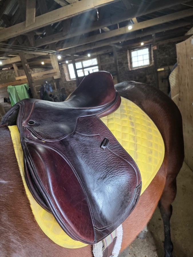 Like new 17.5 inch Santa Cruz saddle adjustable tree