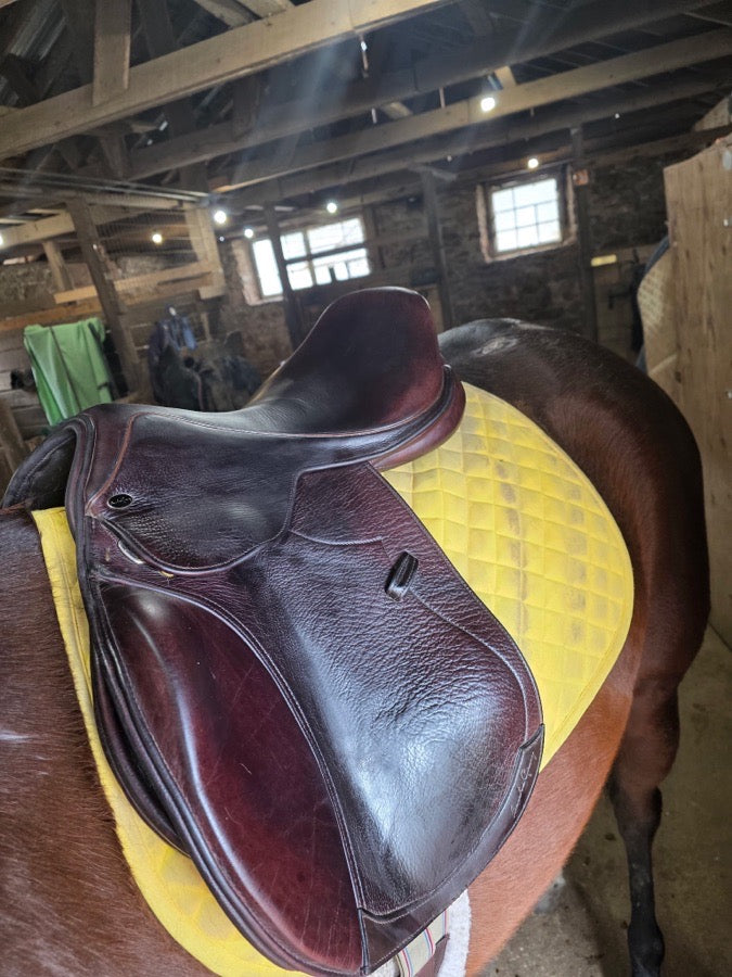 Like new 17.5 inch Santa Cruz saddle adjustable tree