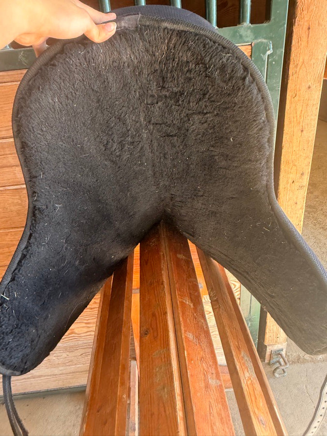 OTHER Treeless saddle (4)