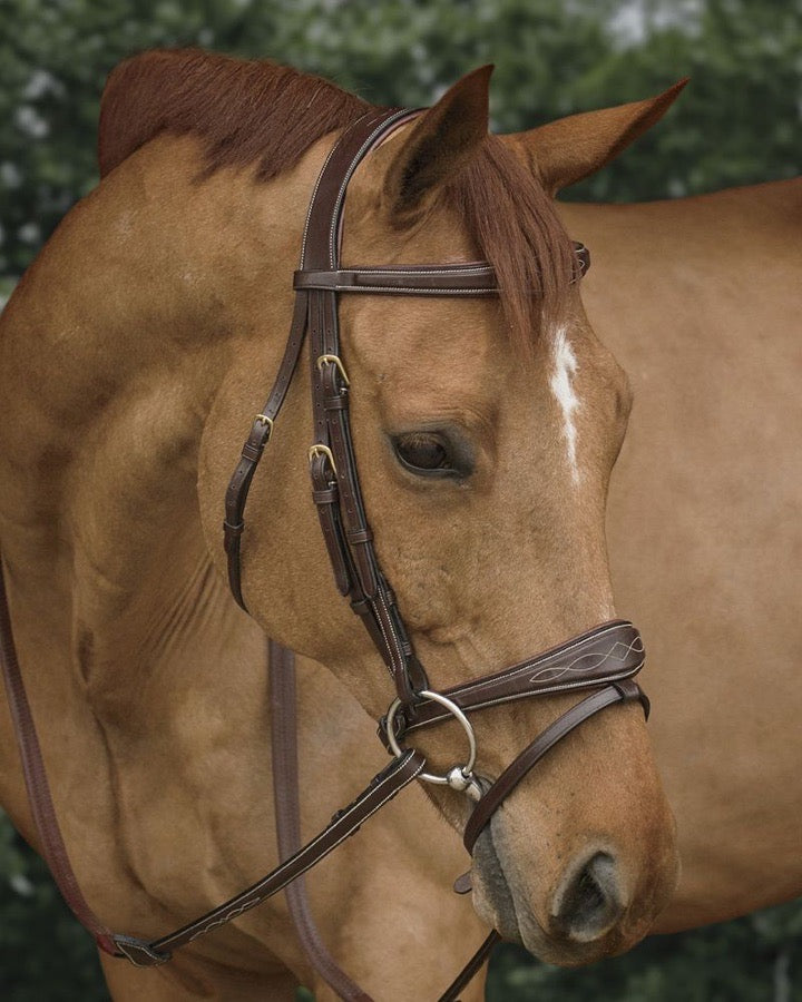 Dyon Bridle Anotomic Bridle - WB