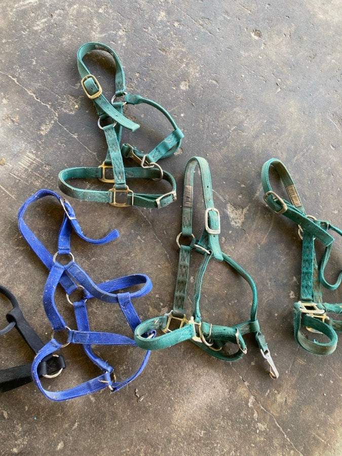 Halters