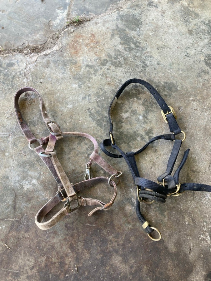 Halters