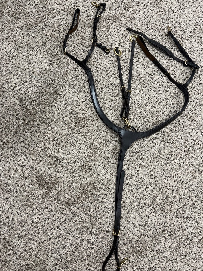 Sunrider Breastplate Ascot, 5-point, 3-point